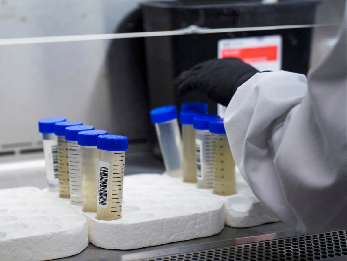 A lab technician tests waste water for Covid-19 in Cambridge, Massachusetts, February 2022 (Allison Dinner/REUTERS)