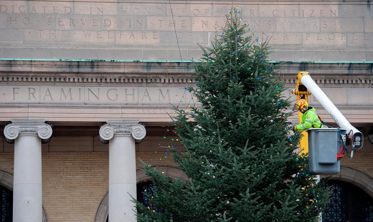 Fernando Oliveira, a Framingham Department of Public Works employee, strings lights above last year's Christmas tree outside the Memorial Building.