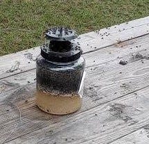 Area residents are complaining that the use of soil amendments on surrounding rural areas are causing a &quot;plague&quot; of biting flies. Swarms of these flies fill traps like this one in a matter of hours.