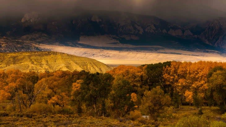 autumn colors national forest