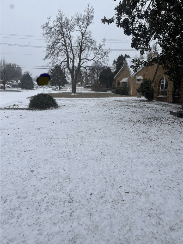 A snowy yard