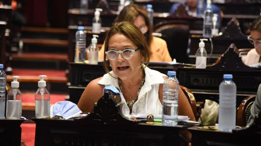 Para la diputada, Marcela Campagno