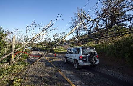 A car navigates past fallen trees and electric cables after Hurricane Gonzalo passed through in Sandys Parish, western Bermuda, October 18, 2014. REUTERS/Nicola Muirhead