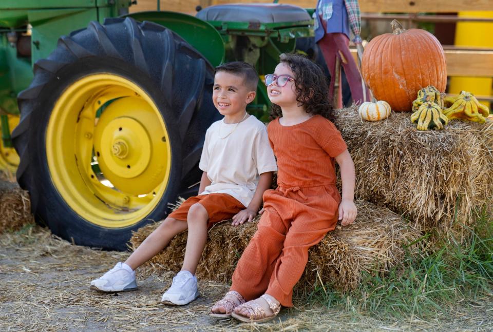 Bedner's Farm Fresh Market Fall Festival 2023 will feature a pumpkin patch, tractor rides, a corn maze, sunflower field and much more.