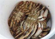 A view of Dungeness crabs caught in a cove on the Douglas Channel, in northern British Columbia near to where Enbridge Inc plans to build its Northern Gateway pipeline terminal facility April 13, 2014. REUTERS/Julie Gordon