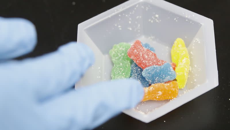 Edible marijuana samples are set aside for evaluation at a cannabis testing laboratory in Santa Ana, Calif., on Wednesday, Aug. 22, 2018.