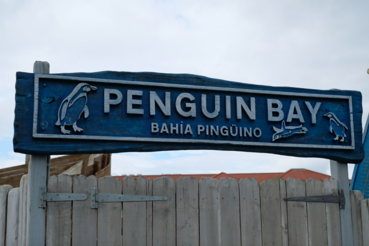 Eight humboldt penguins were killed in their enclosure (SWNS)