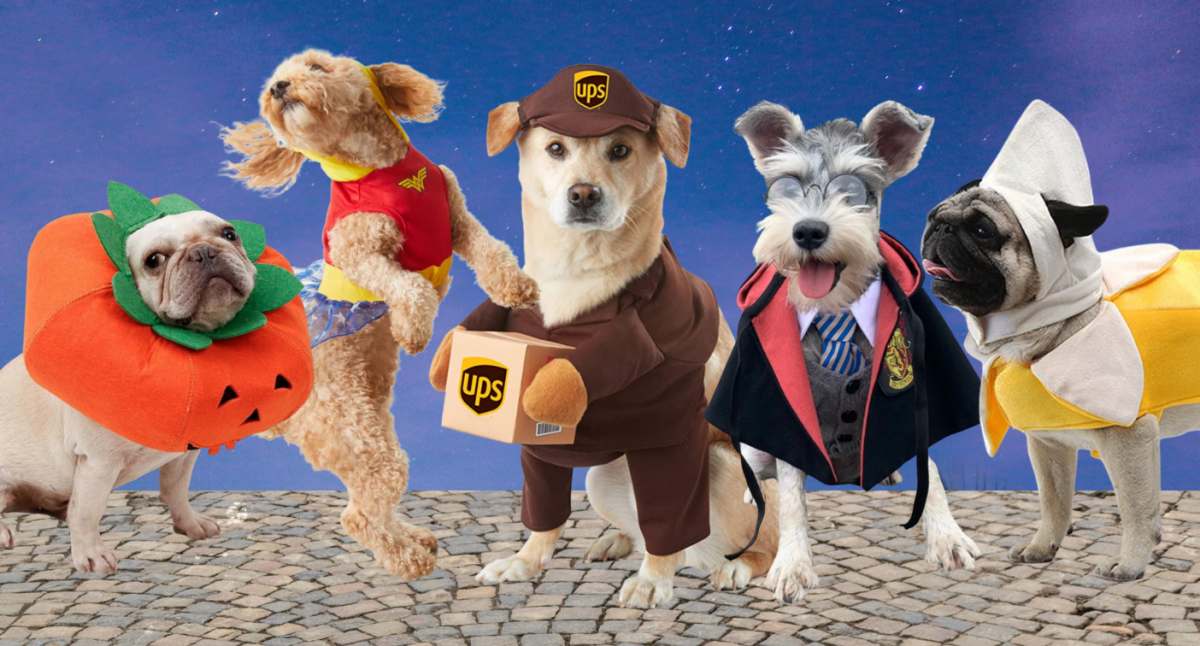 The Best Dog Halloween Costumes for All Kinds of Pups, from Big to Small