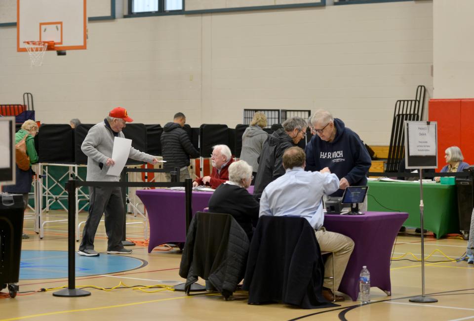 https://www.capecodtimes.com/story/news/politics/elections/2024/03/03/super-tuesday-ballot-choosing-state-town-party-committees-massachusetts/72804490007/