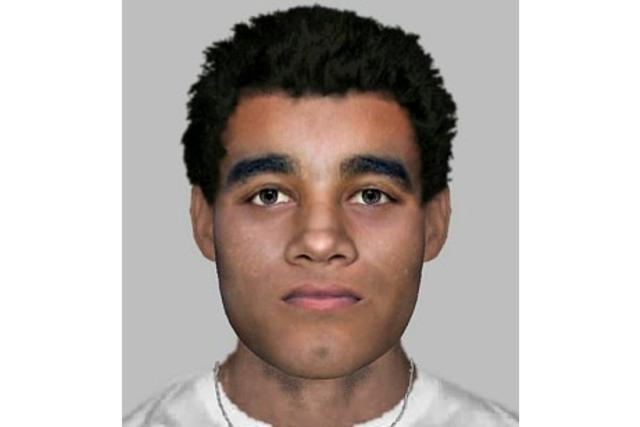 Police have released an E-fit of a suspect after a woman was raped in Wanstead Park  (Met Police)