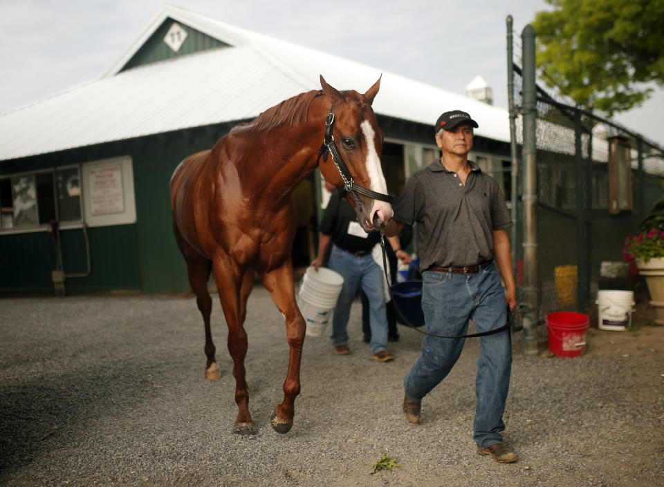 FILE - Justify (1), is led buy Carlos Martin out of the quarantine barn after winning the 150th running of the Belmont Stakes horse race, Saturday, June 9, 2018, in Elmont, N.Y. Triple Crown winner Justify, 2017 Horse of the Year Gun Runner and jockey Joel Rosario have been elected to the National Museum of Racing and Hall of Fame in their first year of eligibility. (AP Photo/Andres Kudacki, File)