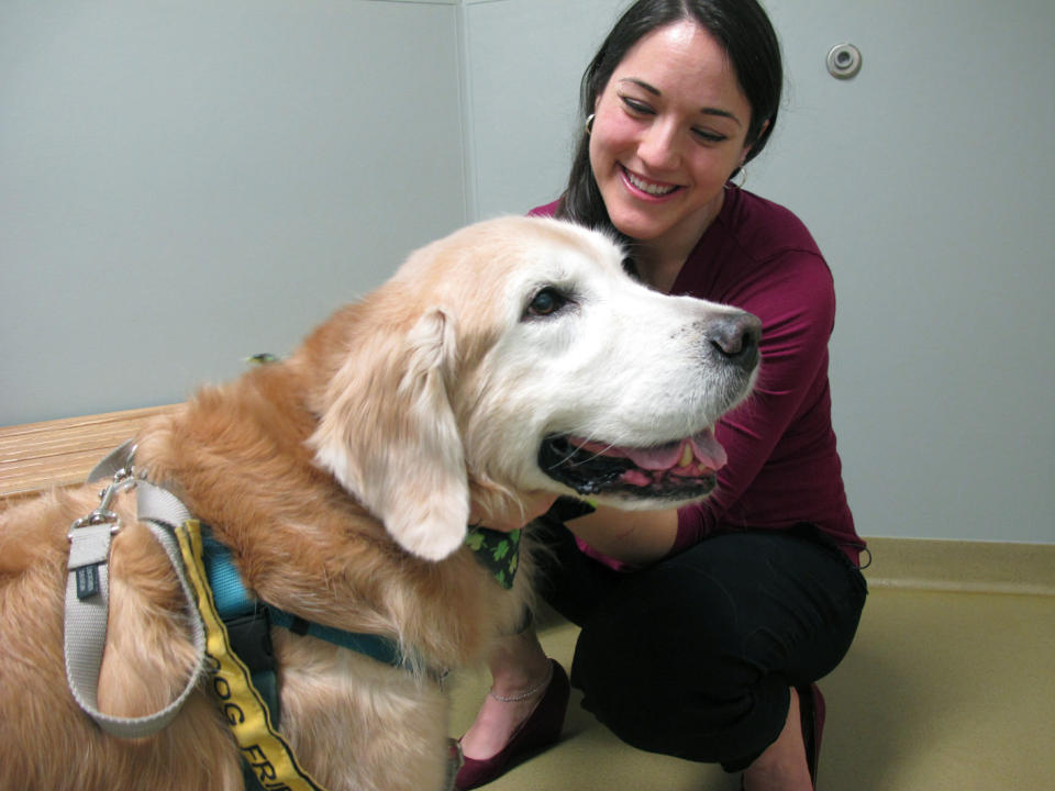 La veterinaria Lindsey Bullen examina a Benko, un golden retriever con problemas de peso, en una clínica de animales de Cary, Carolina del Norte, el 15 de marzo del 2019. Bullen dice que muchos clientes le consultan sobre los supuestos beneficios de la comida fresca. (AP Photo/Allen G. Breed)