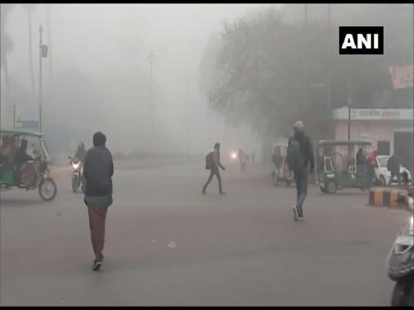 Visual of fog in Prayagraj (Photo/ANI)