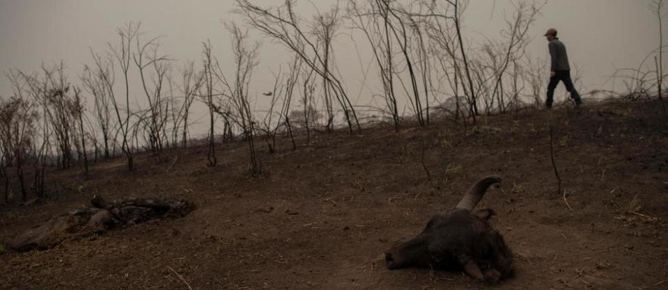 Depuis plusieurs mois, des régions entières aux confins de l'Argentine, du Paraguay, de la Bolivie et du sud du Brésil font face à des incendies dévastateurs.
