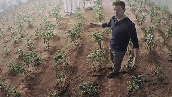 Scientists are about to eat radishes grown in Martian soil