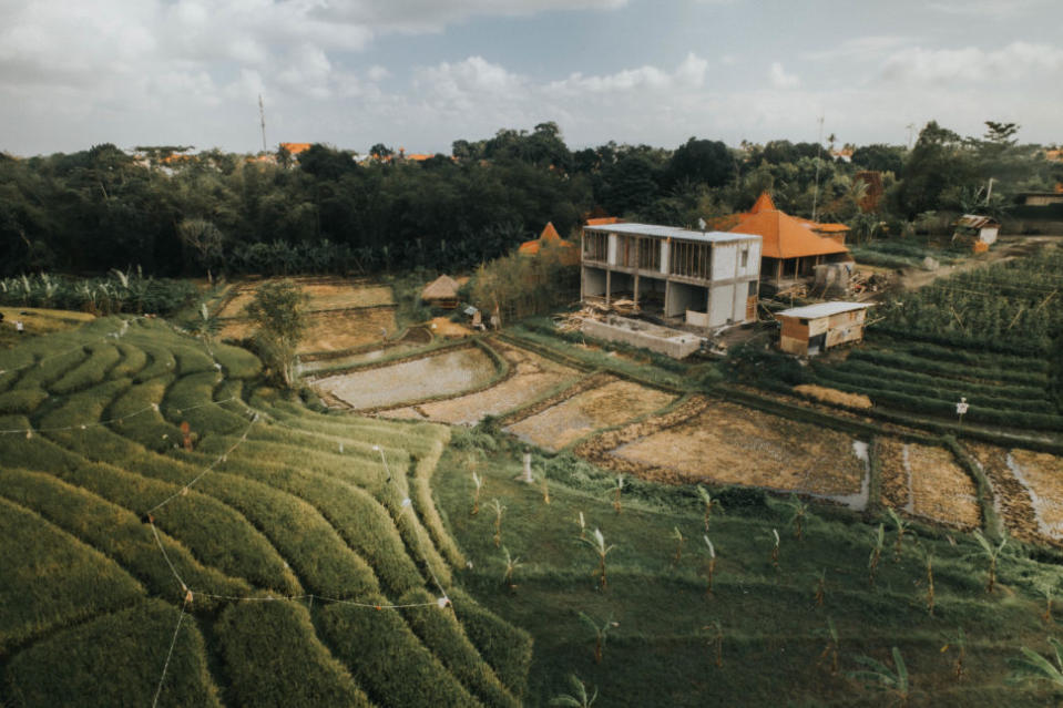 green fields in Bali - one of the best places to travel in April