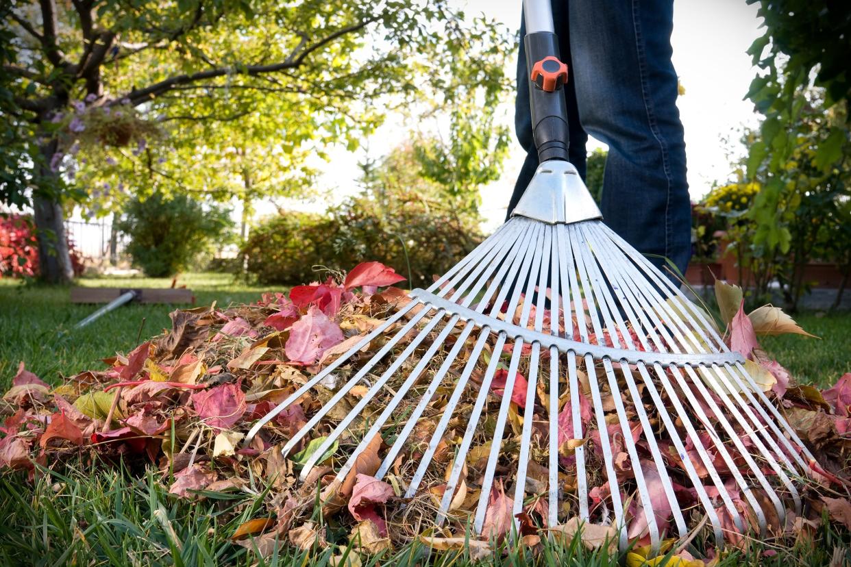 man raking leaves in yard