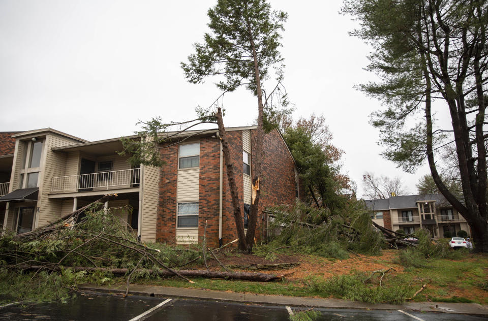 Downed trees and limbs sit broken in the grass outside the Ashton Parc apartments off Scottsville Road in Bowling Green, Ky., after another tornado warning was issued late Saturday morning, Jan. 1, 2022, for Warren and surrounding counties, following the devastating tornadoes that tore through town on Dec. 11, 2021. Though the damage from Saturday's storm proved less catastrophic than the system that passed through in December, heavy rain and strong winds battered the area, causing damage along Cave Mill Road and the surrounding area. (Grace Ramey/Daily News via AP)