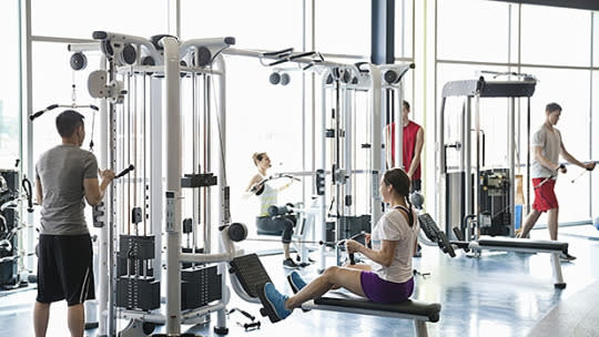 Are you a gym rat or gym brat? Workout tips for staying healthy and not  offending others 