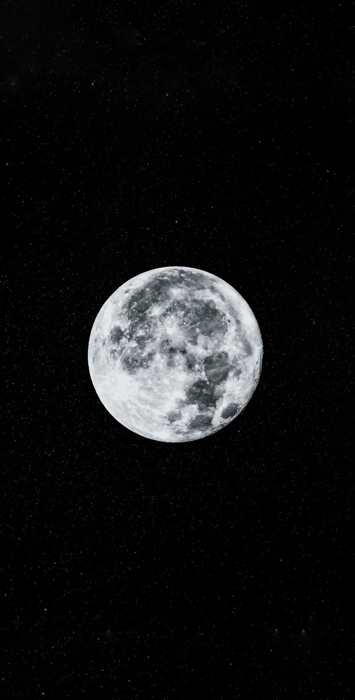 The moon  (Brian Gomes/ Unsplash )