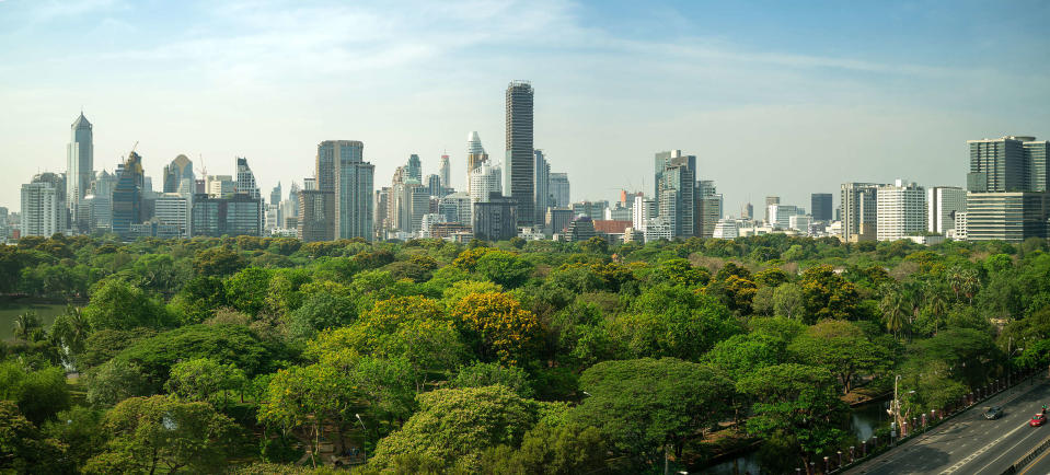 若透過城市規畫，串連綠地、郊區與城市公園，成為生態綠網，能將讓生態系更豐富，城市也成為更多生物的棲息與覓食之處。