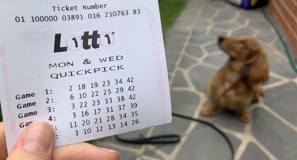 A man holds a lottery ticket with a dog sitting in the background.