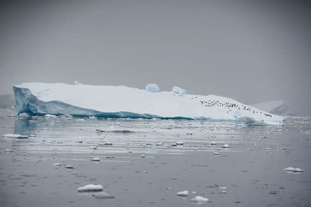 FILE PHOTO: An iceberg floats in Andvord Bay, Antarctica, February 14, 2018. REUTERS/Alexandre Meneghini/File Photo