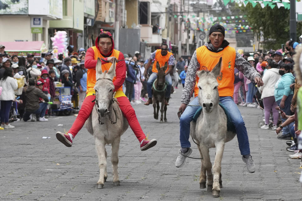 Jinetes y sus burros compiten en una carrera durante un festival anual de esos equinos en Salcedo, Ecuador, el sábado 10 de septiembre de 2022. (AP Foto/Dolores Ochoa)