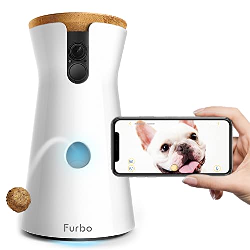 Furbo Dog Camera (Amazon / Amazon)