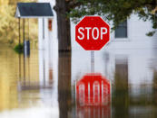 A neighborhood is submerged in flood waters from the swollen Tar River in the aftermath of Hurricane Matthew, in Tarboro, North Carolina on October 13, 2016. REUTERS/Jonathan Drake