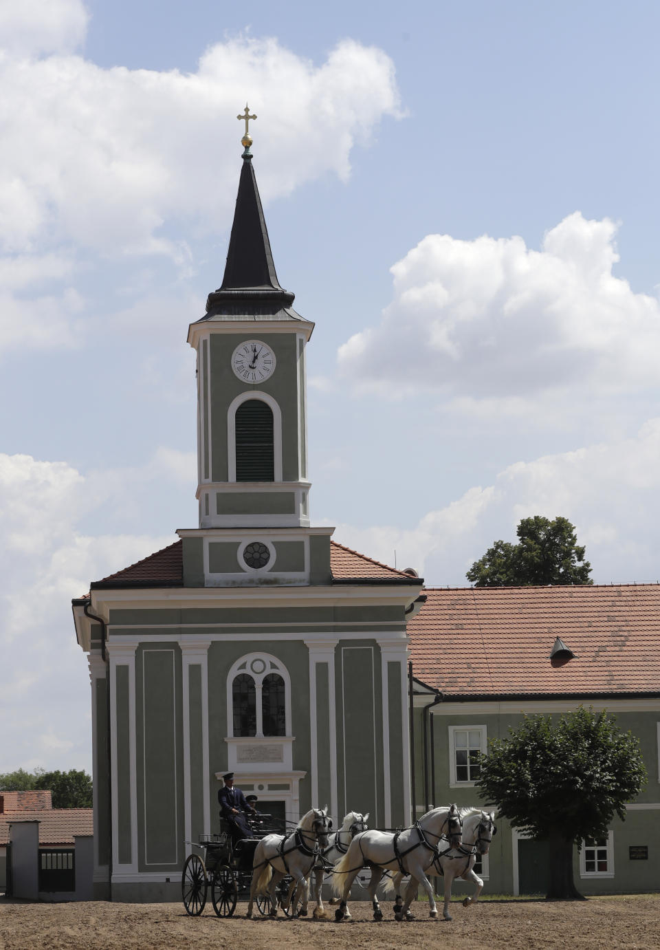 In this photo taken on Thursday, July 11, 2019, horses pull a carriage at a stud farm in Kladruby nad Labem, Czech Republic. UNESCO this month added a Czech stud farm to its World Heritage List, acknowledging the significance of a horse breeding and training tradition that has survived centuries. Founded 440 years ago to breed and train ceremonial horses to serve at the emperor’s court, the National stud farm and its surrounding landscape have kept its original purpose since. (AP Photo/Petr David Josek)