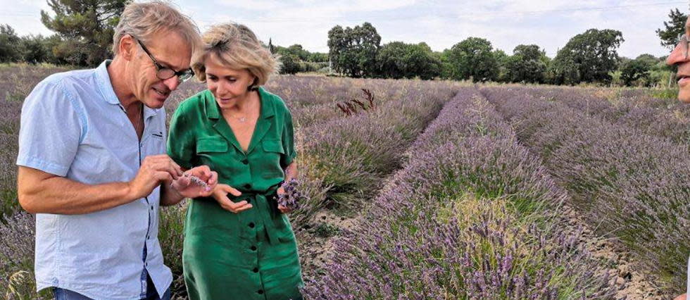 Valérie Pécresse dans un champ de lavande à Montségur-sur-Lauzon, dans la Drôme.
