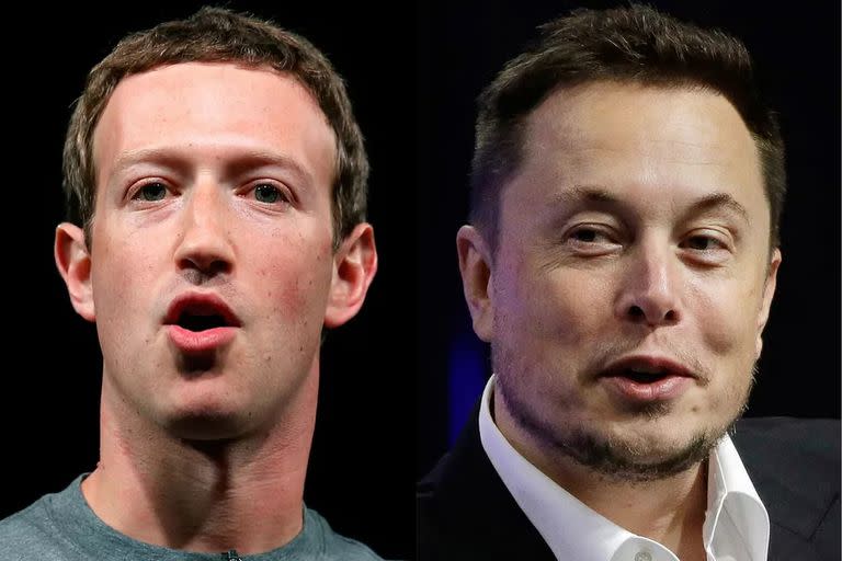 ¿Se agarrarán a las trompadas? Mark Zuckerberger y Elon Musk se desafiaron a una pelea tipo lucha libre en Las Vegas