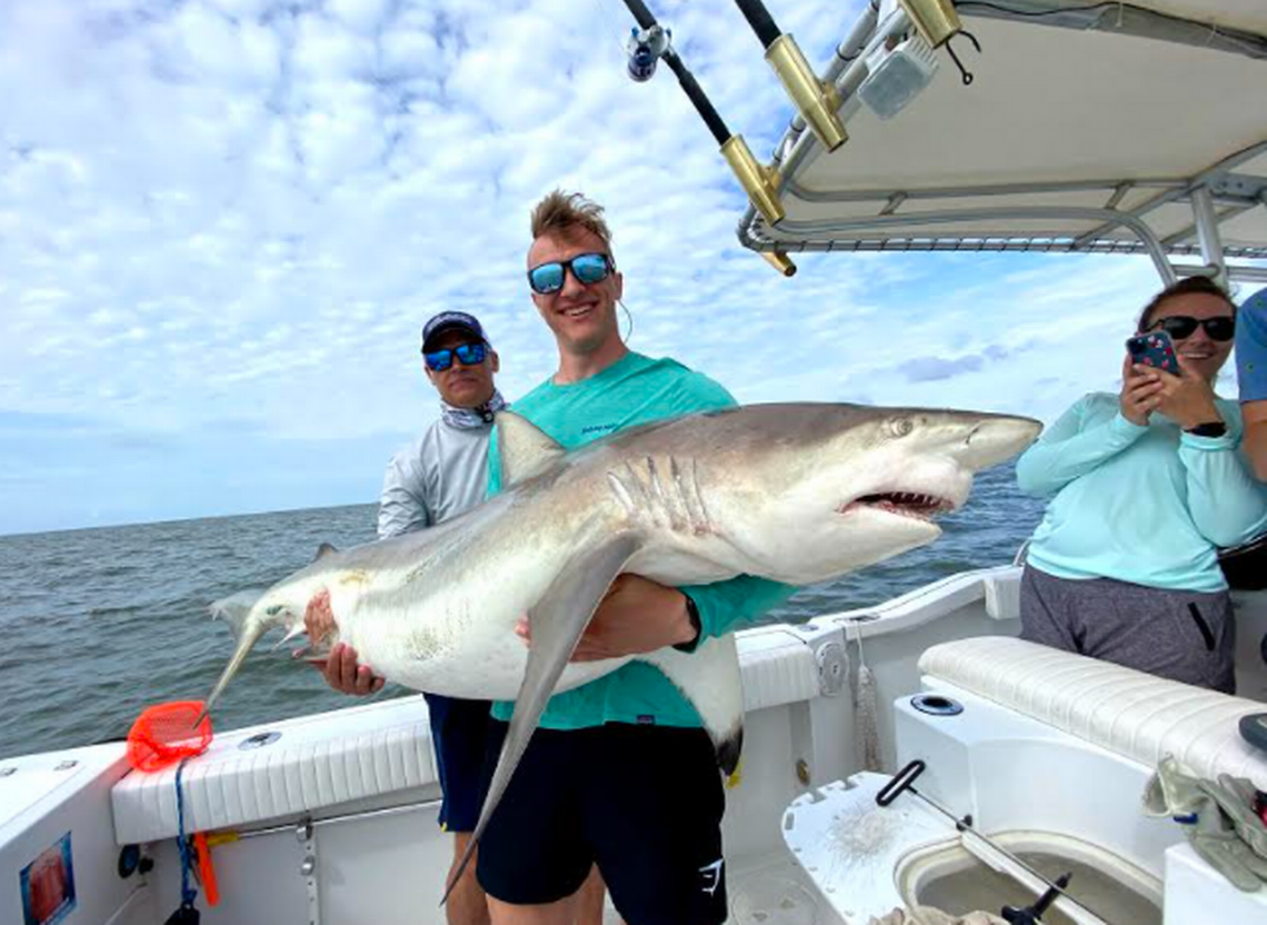 This blacktip shark was caught and released in August 2021 on the boat of local shark expert Chip Michalove, owner and operator of Outcast Sport Fishing on Hilton Head Island.