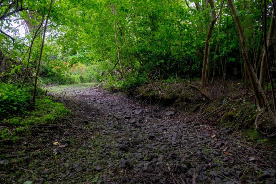 The River Chess in Hertfordshire looks more like a path (Charles Rangeley)