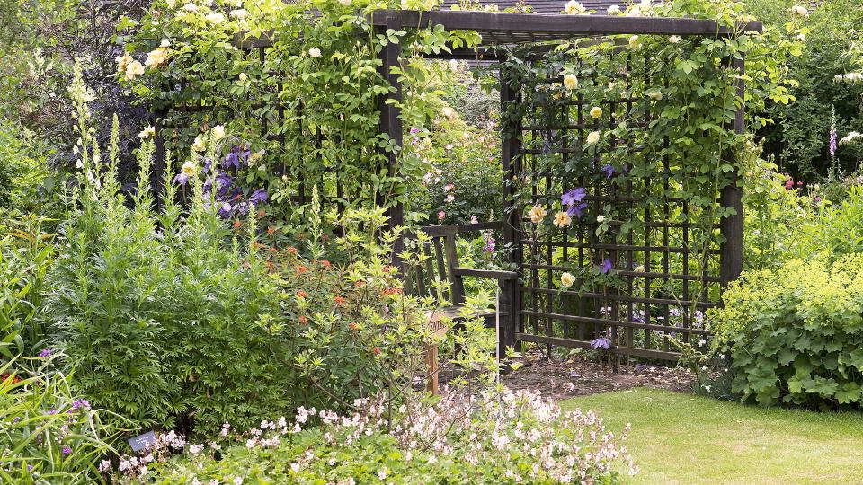 Discover the best trellis to grow a variety of climbing plants against your garden walls and fences