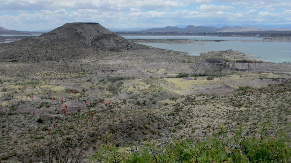 About a quarter of a fossilized skull from Tyrannosaurus mcraeensis was found in an area called Elephant Butte, New Mexico.  - Spencer Lucas/Courtesy NM Department of Cultural Affairs