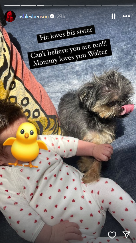 Ashley Benson's daughter and dog