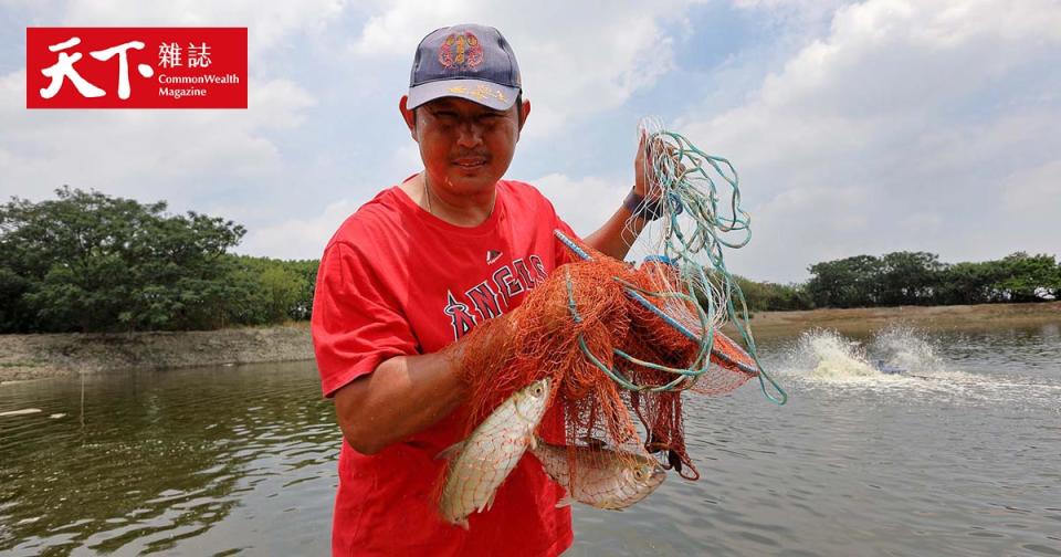 阿堂鹹粥又漲？虱目魚3年漲幅26%，國民美食為何回不去了？
