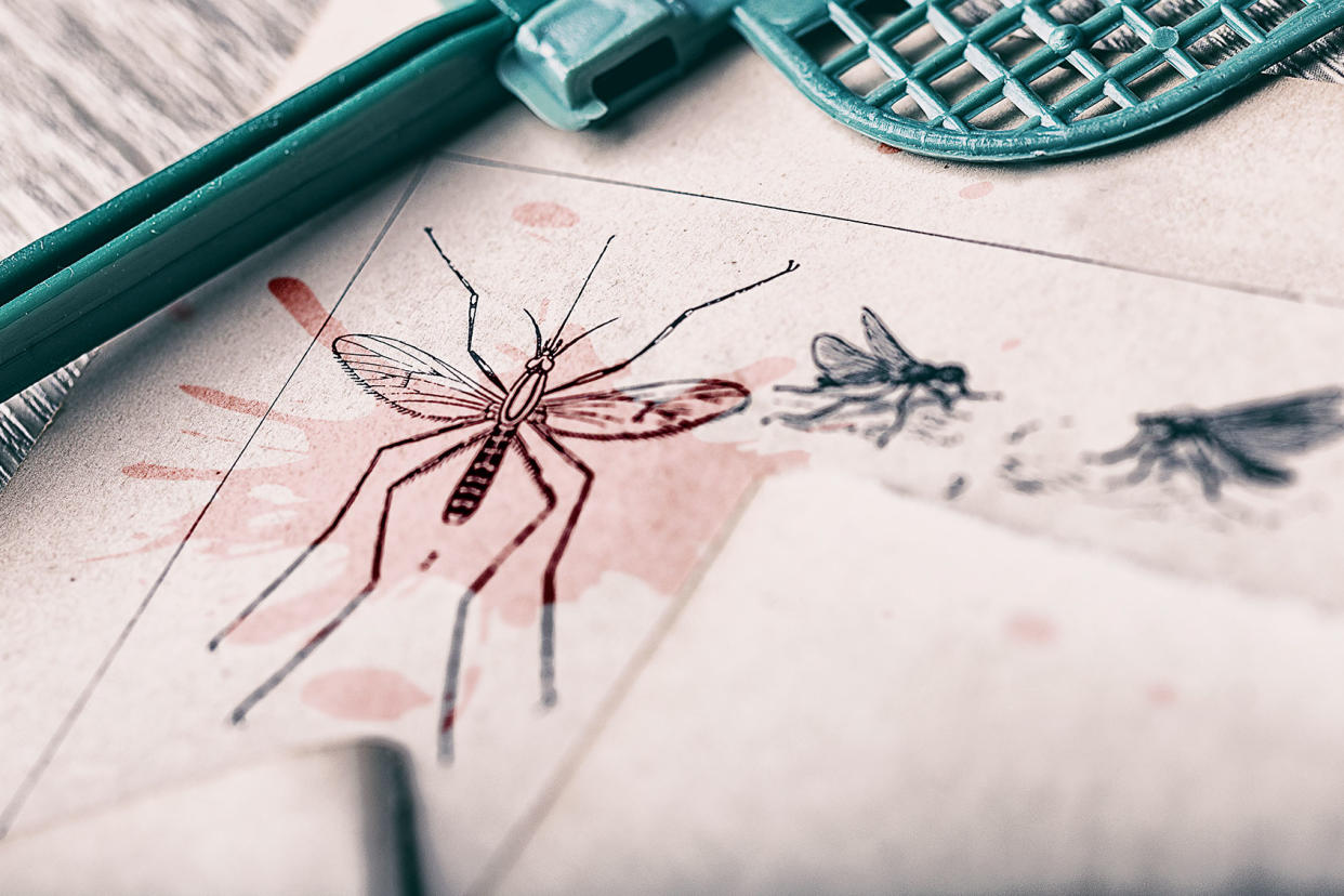 Mosquito in old book with mosquito swatter and blood stain Getty Images/Nikola Nastasic