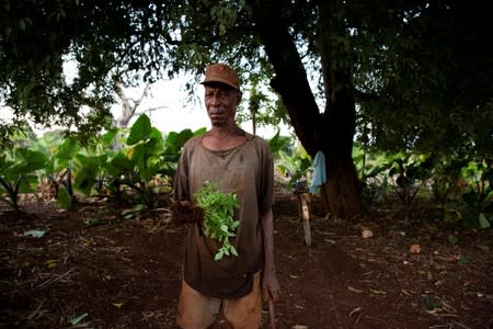 The Wider Image: Tanzania's Zanzibar begins to register traditional healers