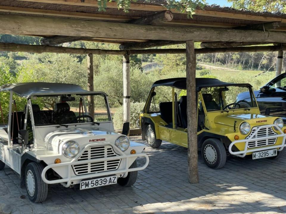 Mini Moke