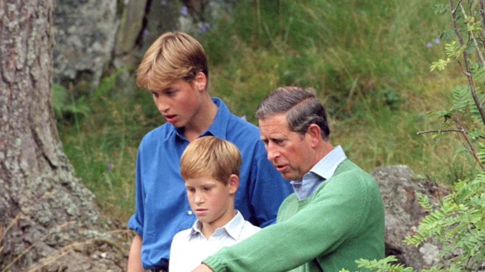 charles, william harry photocall in balmoral