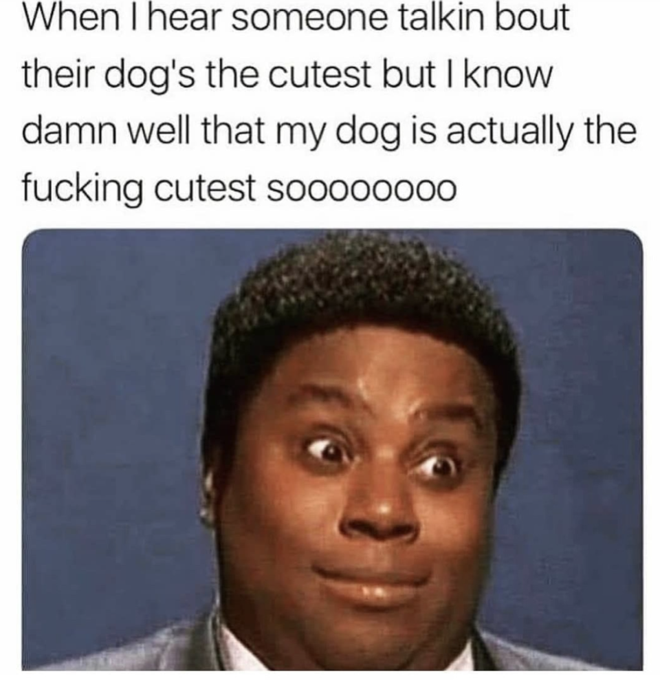 ..."but I know damn well that my dog is actually the fucking cutest sooooooo"
