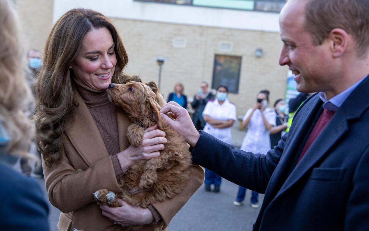 The Duke and Duchess of Cambridge enjoy the company of 10-week-old cockapoo Alfie on a visit to a hospital - James Glossop/The Times 