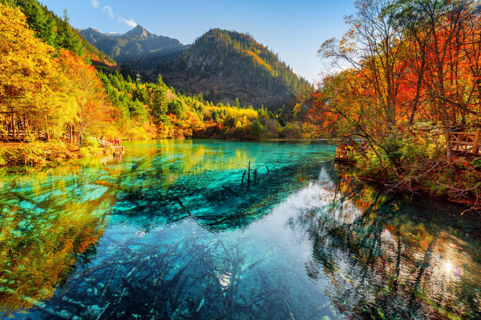 A view of the Five Flower Lake with among fall woods in Jiuzhaigou nature reserve (Jiuzhai Valley National Park), China. / Credit: Getty/iStockphoto