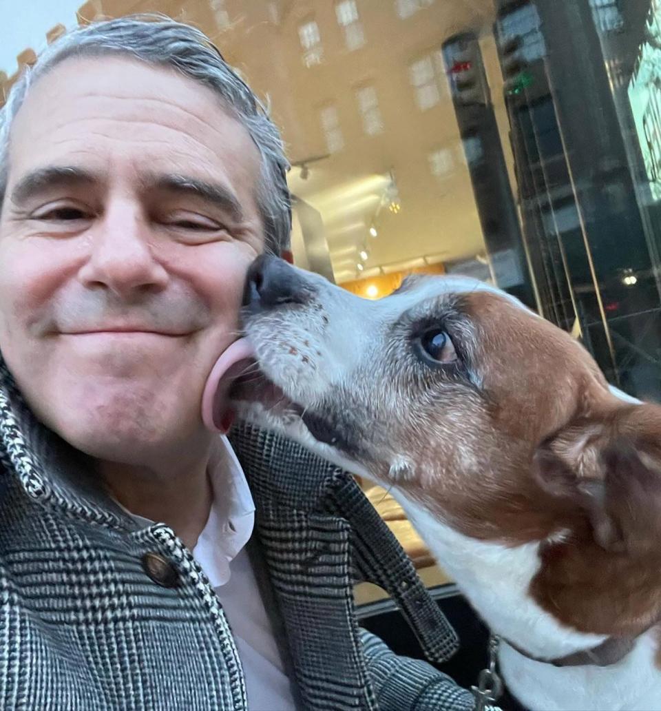 andy cohen