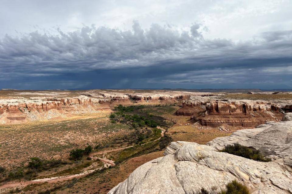 A view from above Cottonwood Wash, Utah.