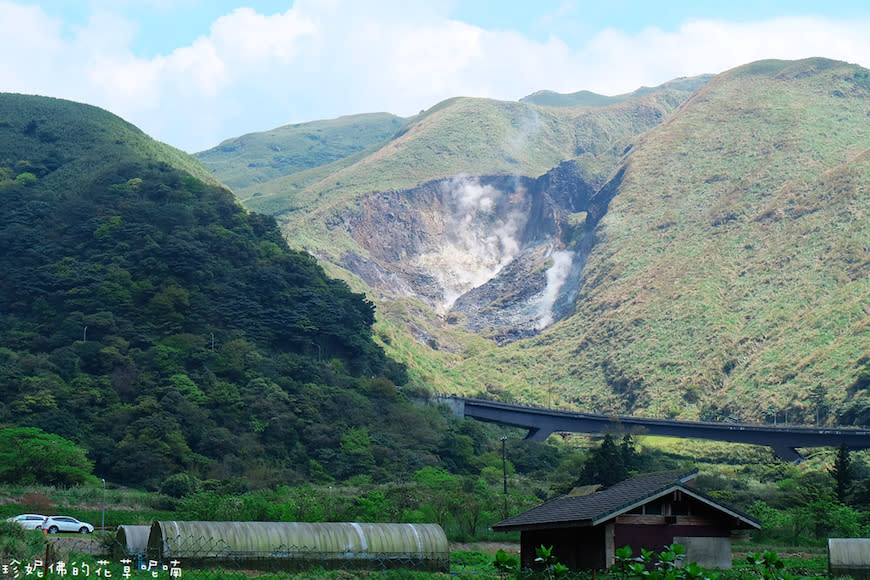 陽明山｜頂湖環狀步道、花谷海芋園