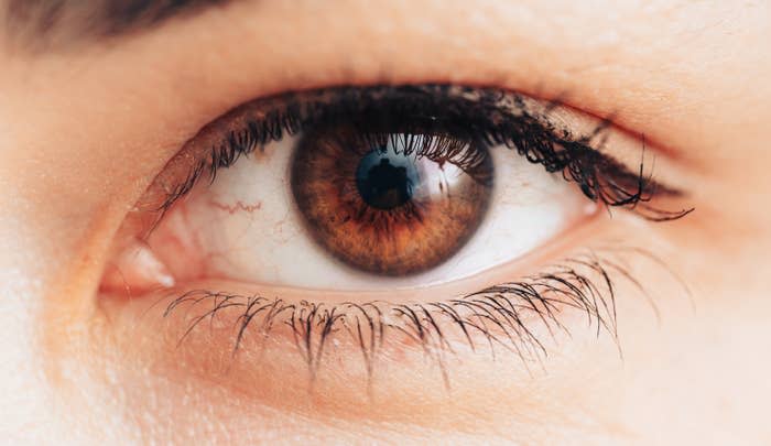 Close-up of a person's eye with visible eyelashes and eyebrow details